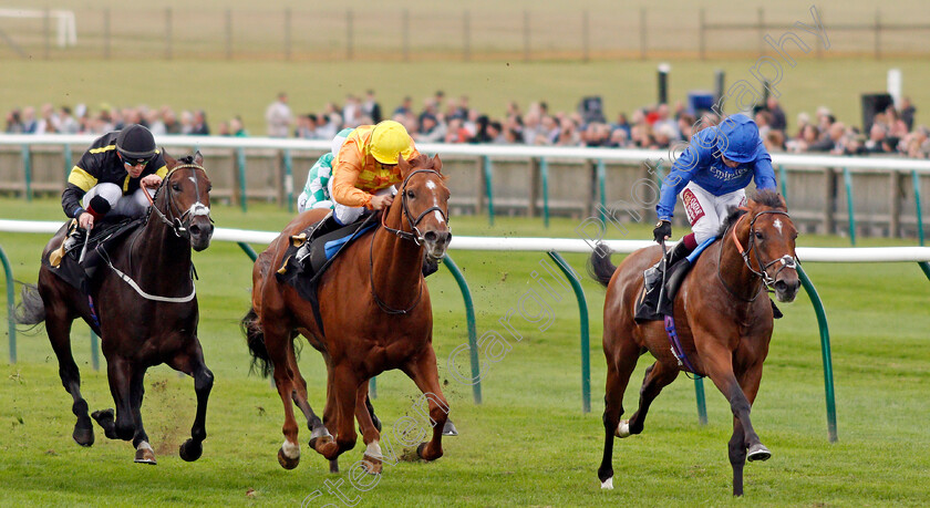 Dubai-Legacy-0005 
 DUBAI LEGACY (Oisin Murphy) beats SPANISH CITY (centre) and VITRALITE (left) in The Newmarket Journal And Velvet Magazine Handicap
Newmarket 28 Sep 2019 - Pic Steven Cargill / Racingfotos.com