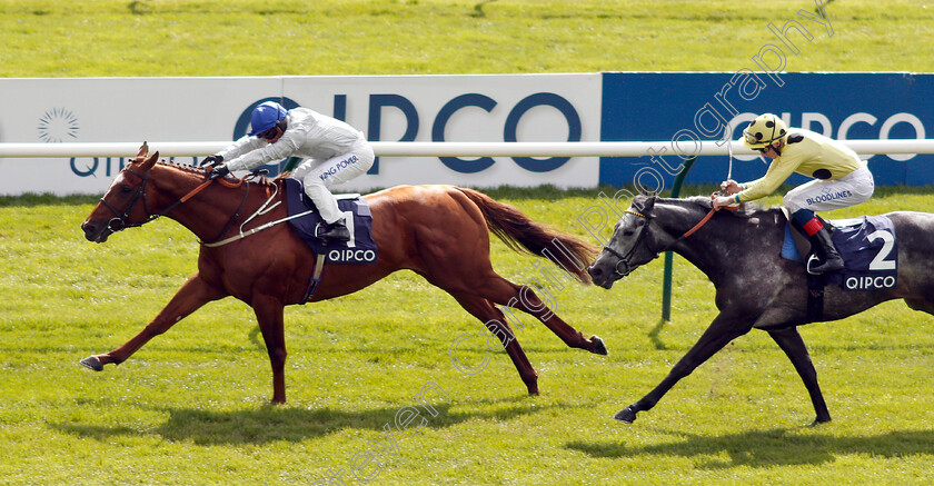 Communique-0003 
 COMMUNIQUE (Silvestre De Sousa) beats DEFOE (right) in The Jockey Club Stakes
Newmarket 4 May 2019 - Pic Steven Cargill / Racingfotos.com