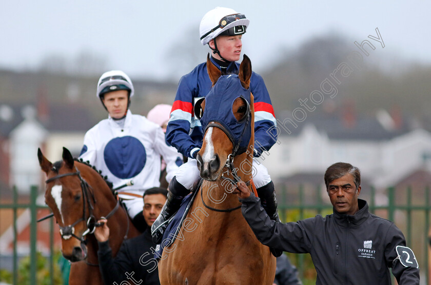 Sir-Busker-0002 
 SIR BUSKER (Brandon Wilkie)
Wolverhampton 9 Mar 2024 - Pic Steven Cargill / Racingfotos.com