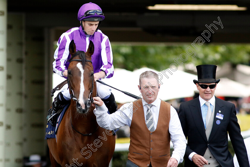 Continuous-0001 
 CONTINUOUS (Ryan Moore)
Royal Ascot 22 Jun 2024 - Pic Steven Cargill / Racingfotos.com