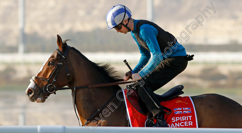 Spirit-Dancer-0003 
 SPIRIT DANCER training for the Bahrain International Trophy
Kingdom of Bahrain 13 Nov 2024 - Pic Steven Cargill / Racingfotos.com