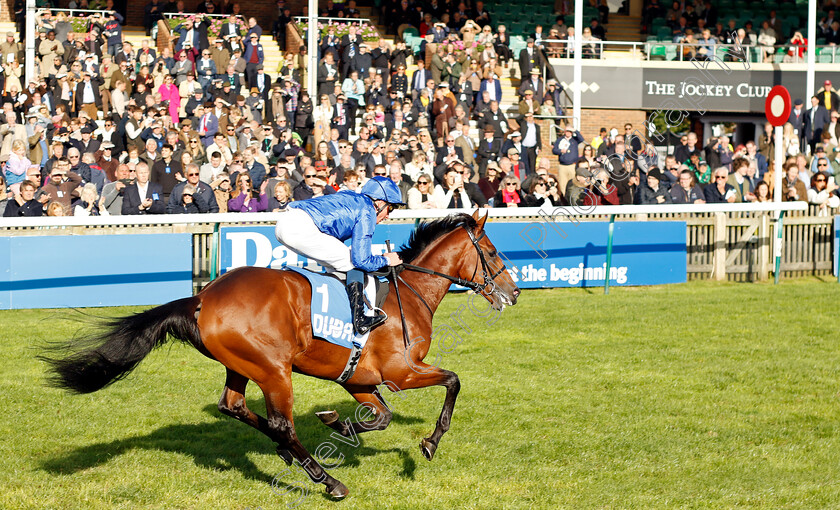 Arabian-Crown-0002 
 ARABIAN CROWN (William Buick) wins The Zetland Stakes
Newmarket 14 Oct 2023 - Pic Steven Cargill / Racingfotos.com