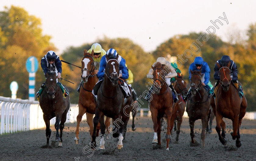 Alfarqad-0001 
 ALFARQAD (centre, Dane O'Neill) wins The 100% Profit Boost At 32Redsport.com Novice Stakes Div1
Kempton 27 Sep 2018 - Pic Steven Cargill / Racingfotos.com