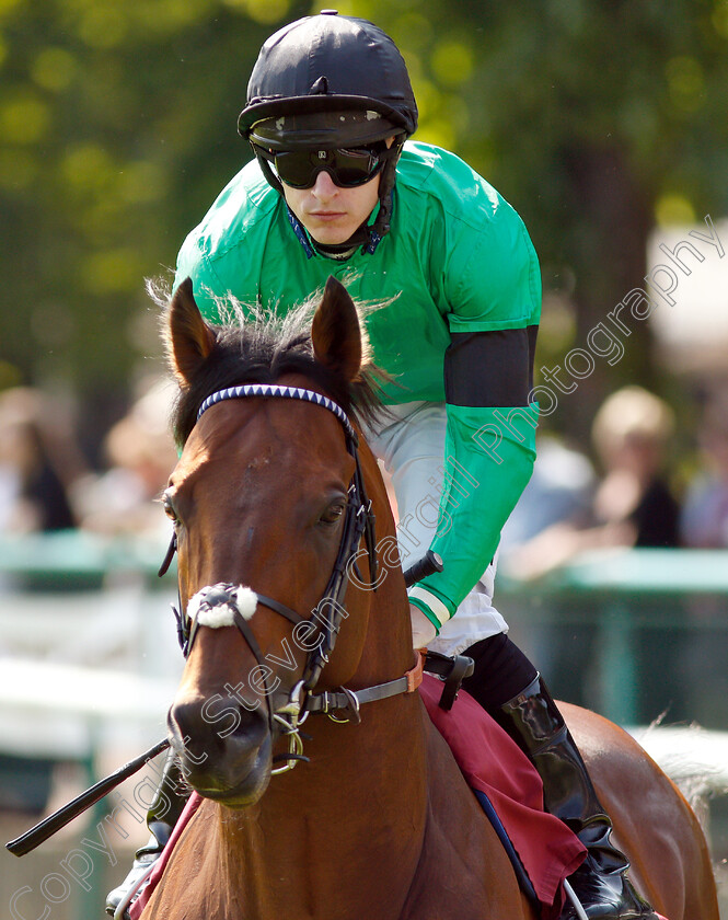 Kachy-0002 
 KACHY (Richard Kingscote)
Haydock 26 May 2018 - Pic Steven Cargill / Racingfotos.com