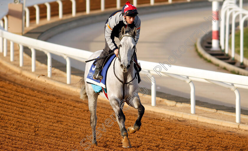 Art-Power-0001 
 ART POWER (David Allan) training for The 1351 Turf Sprint
King Abdulaziz Racecourse, Saudi Arabia 20 Feb 2024 - Pic Steven Cargill / Racingfotos.com