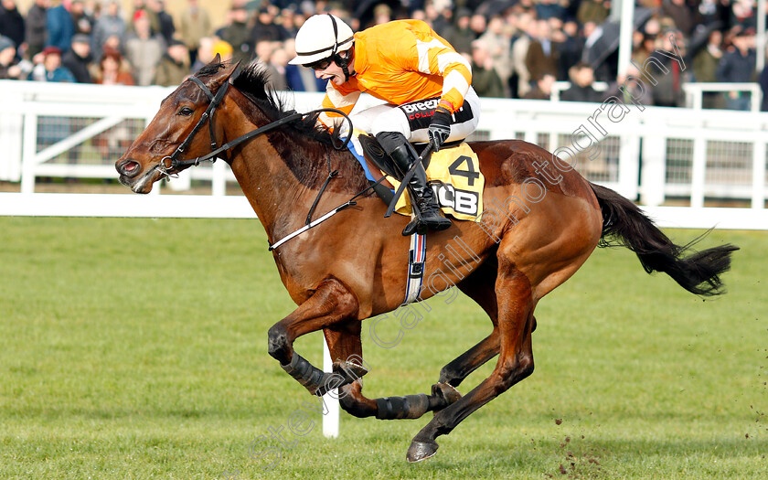 Fakir-D Oudairies-0006 
 FAKIR D'OUDAIRIES (J J Slevin) wins The JCB Triumph Trial Juvenile Hurdle
Cheltenham 26 Jan 2019 - Pic Steven Cargill / Racingfotos.com