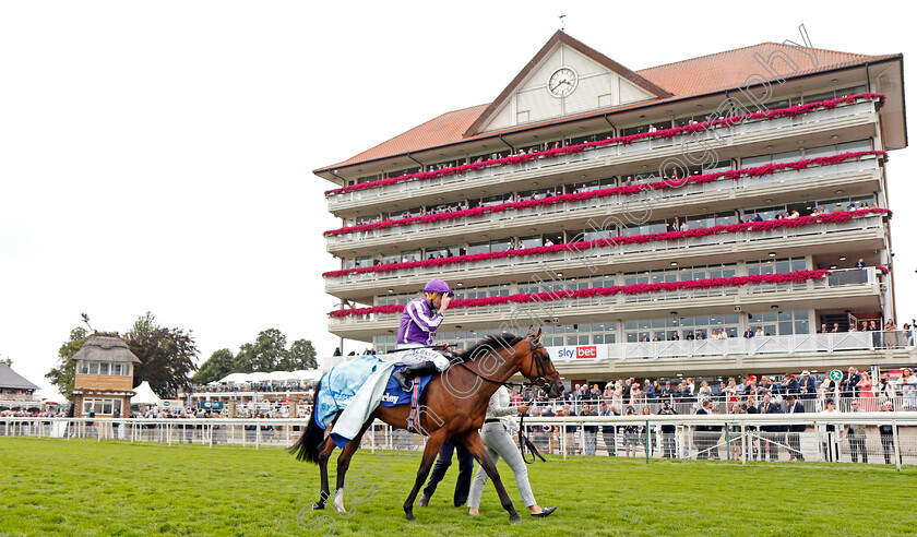 Snowfall-0008 
 SNOWFALL (Ryan Moore) after The Darley Yorkshire Oaks
York 19 Aug 2021 - Pic Steven Cargill / Racingfotos.com