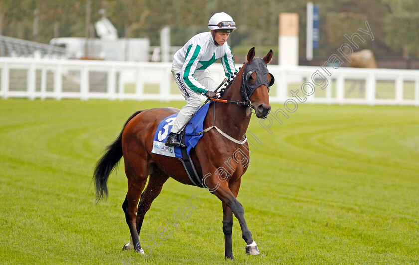 Funny-Man-0001 
 FUNNY MAN (Jim Crowley)
Ascot 4 Oct 2019 - Pic Steven Cargill / Racingfotos.com