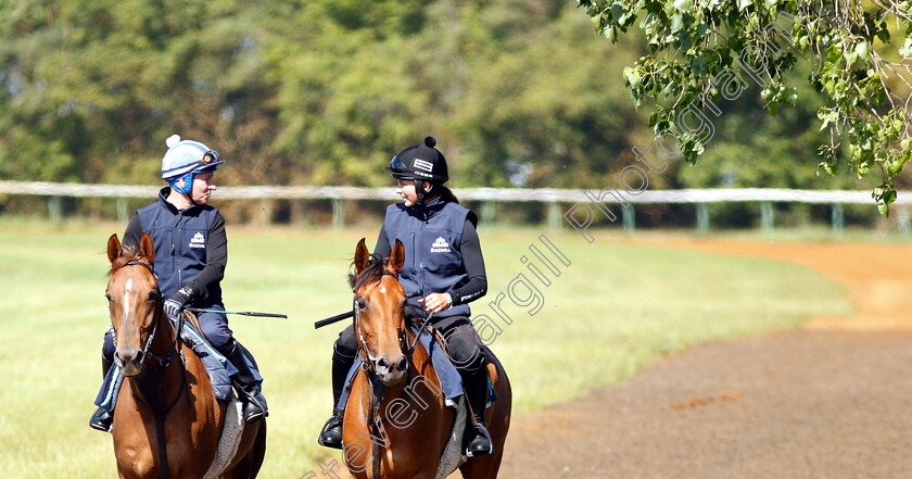 Bryony-Frost-0013 
 BRYONY FROST and Richard Hills exercising Arabian racehorses ahead of DIAR day at Newbury
Newmarket 27 Jun 2019 - Pic Steven Cargill / Racingfotos.com