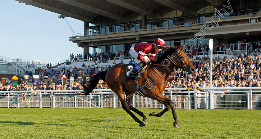 Vino-Victrix-0005 
 VINO VICTRIX (Benoit de la Sayette) wins The William Hill Scratch Of The Day Handicap
Goodwood 26 Aug 2022 - Pic Steven Cargill / Racingfotos.com