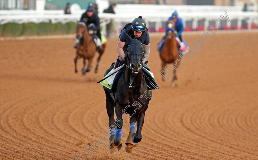 Mostahdaf-0001 
 MOSTAHDAF training for The Neom Turf Cup
King Abdulaziz Racecourse, Kingdom of Saudi Arabia, 22 Feb 2023 - Pic Steven Cargill / Racingfotos.com