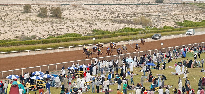 Ode-To-Autumn-0001 
 ODE TO AUTUMN (Pat Cosgrave) wins The Shadwell Handicap
Jebel Ali 24 Jan 2020 - Pic Steven Cargill / Racingfotos.com