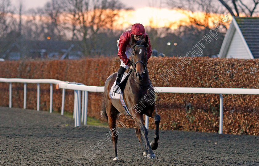 Surround-0001 
 SURROUND (P J McDonald)
Kempton 29 Jan 2020 - Pic Steven Cargill / Racingfotos.com