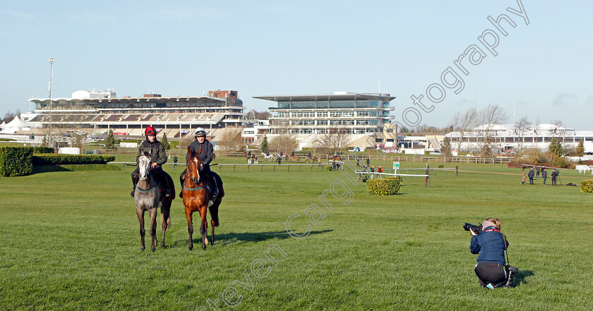 Heaven-Help-Us-and-Ocean-Of-Mercy-0001 
 HEAVEN HELP US and OCEAN OF MERCY photographed by Francescsa Altoft on the eve of the Cheltenham Festival
Cheltenham 14 Mar 2022 - Pic Steven Cargill / Racingfotos.com