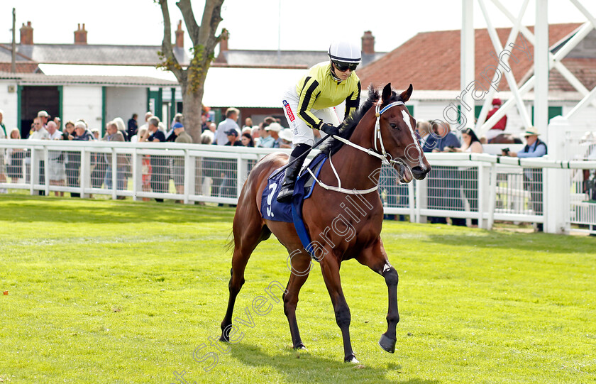 Save-The-World-0001 
 SAVE THE WORLD (Hollie Doyle)
Yarmouth 13 Sep 2022 - Pic Steven Cargill / Racingfotos.com