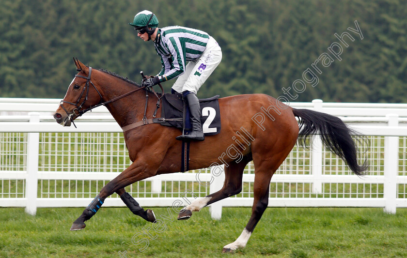 Breaking-Waves-0001 
 BREAKING WAVES (Harry Teal)
Newbury 22 Mar 2019 - Pic Steven Cargill / Racingfotos.com