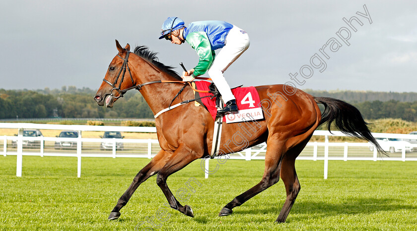 Its-Nice-Tobe-Nice-0001 
 ITS NICE TOBE NICE (Jason Watson)
Ascot 4 Oct 2019 - Pic Steven Cargill / Racingfotos.com