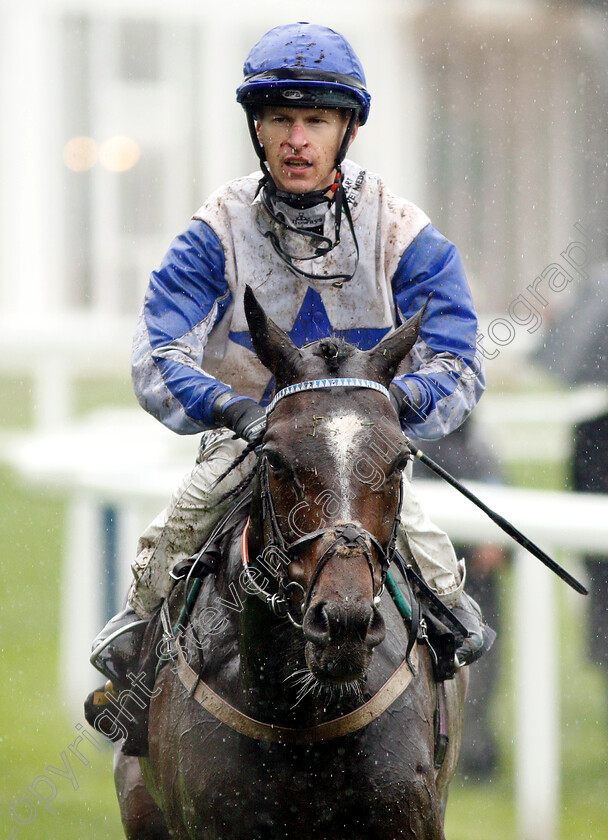 The-Grand-Visir-0006 
 THE GRAND VISIR (Richard Kingscote) after The Ascot Stakes
Royal Ascot 18 Jun 2019 - Pic Steven Cargill / Racingfotos.com