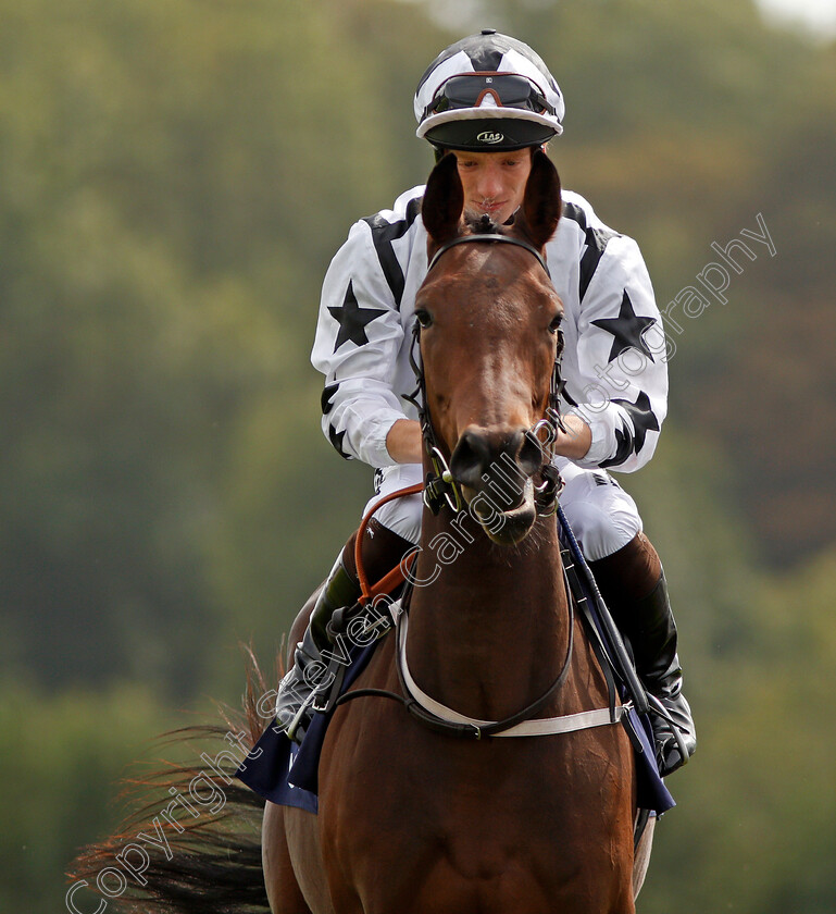 Shaya-0001 
 SHAYA (Edward Greatrex) Chepstow 6 Sep 2017 - Pic Steven Cargill / Racingfotos.com