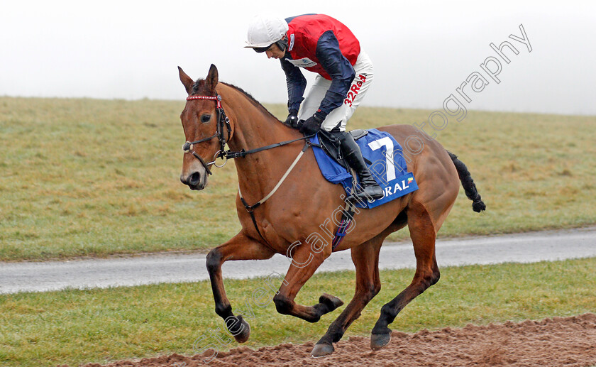 Tiquer-0002 
 TIQUER (Paddy Brennan) winner of The The Smart Money's On Coral Handicap Chase
Chepstow 27 Dec 2019 - Pic Steven Cargill / Racingfotos.com