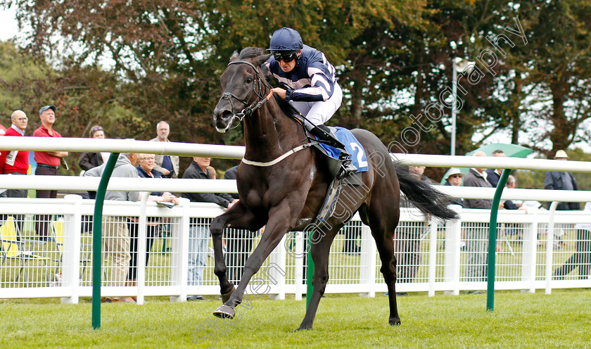 Thechildren strust-0003 
 THECHILDREN'STRUST (Rhys Clutterbuck) wins The Shadwell Racing Excellence Apprentice Handicap
Salisbury 5 Sep 2019 - Pic Steven Cargill / Racingfotos.com