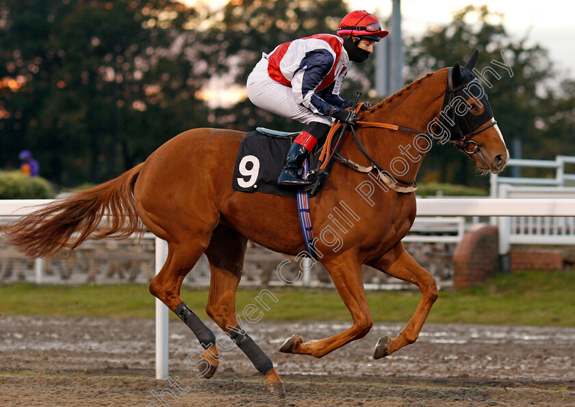 Silky-Sixty-0001 
 SILKY SIXTY (Josephine Gordon)
Chlmsford 15 Oct 2020 - Pic Steven Cargill / Racingfotos.com