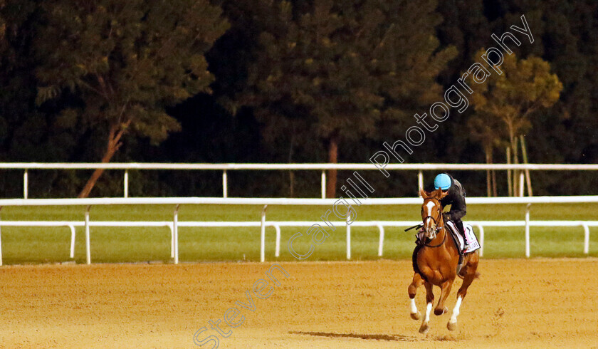 Derma-Sotogake-0001 
 DERMA SOTOGAKE training for The UAE Derby
Meydan, Dubai, 22 Mar 2023 - Pic Steven Cargill / Racingfotos.com