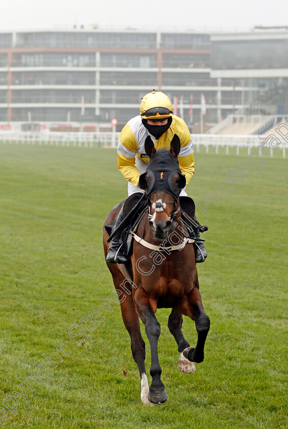 Champagne-Terri-0001 
 CHAMPAGNE TERRI (Robert Dunne)
Newbury 28 Nov 2020 - Pic Steven Cargill / Racingfotos.com