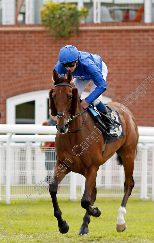 King-Of-Conquest-0004 
 KING OF CONQUEST (William Buick) winner of The William Hill Tapster Stakes
Goodwood 9 Jun 2024 - pic Steven Cargill / Racingfotos.com