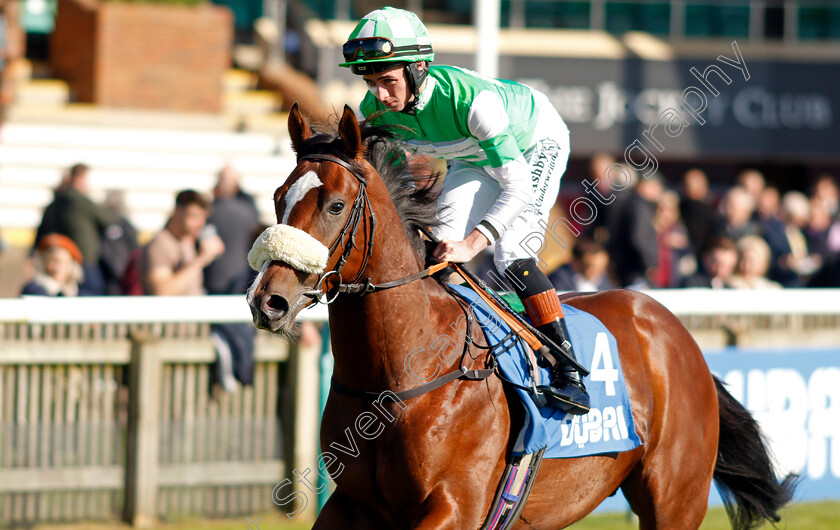 Mr-Lightside-0001 
 MR LIGHTSIDE (Rossa Ryan)
Newmarket 11 Oct 2024 - Pic Steven Cargill / Racingfotos.com