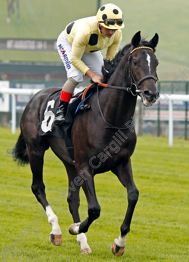 Knightly-Spirit-0001 
 KNIGHTLY SPIRIT (Andrea Atzeni) Goodwood 27 Sep 2017 - Pic Steven Cargill / Racingfotos.com