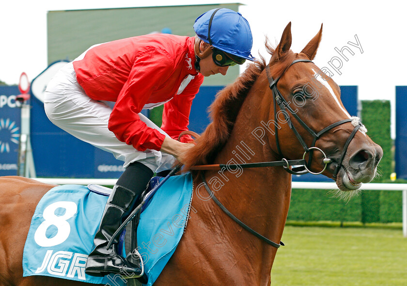 Veleta-0002 
 VELETA (Hector Crouch) 
Ascot 26 Jul 2019 - Pic Steven Cargill / Racingfotos.com