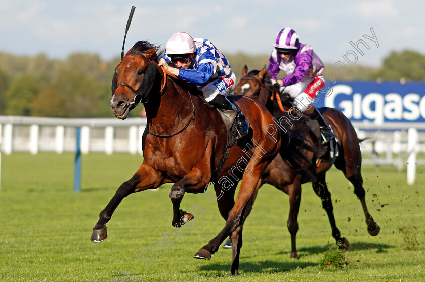 Leader-Writer-0003 
 LEADER WRITER (Fran Berry) wins The Weatherbys Handicap Ascot 8 Sep 2017 - Pic Steven Cargill / Racingfotos.com