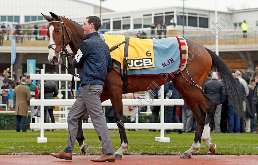 Apple s-Shakira-0001 
 APPLE'S SHAKIRA before winning The JCB Triumph Trial Juvenile Hurdle Cheltenham 27 Jan 2018 - Pic Steven Cargill / Racingfotos.com