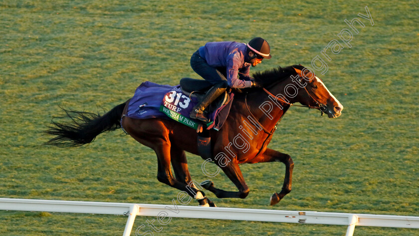 Rousham-Park-0001 
 ROUSHAM PARK training for the Breeders' Cup Turf
Del Mar USA 30 Oct 2024 - Pic Steven Cargill / Racingfotos.com