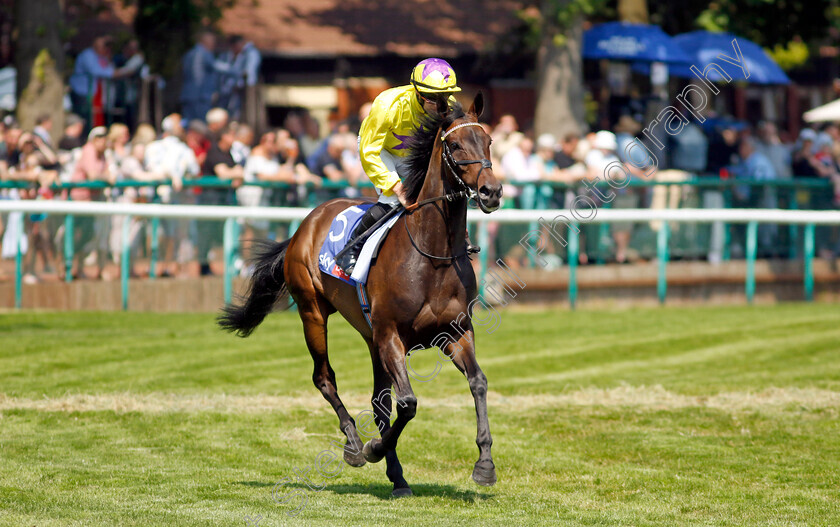 Sea-Silk-Road-0011 
 SEA SILK ROAD (Tom Marquand) winner of The Lester Piggott Pinnacle Stakes
Haydock 10 Jun 2023 - Pic Steven Cargill / Racingfotos.com