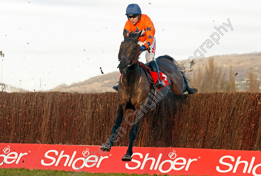 Vaniteux-0001 
 VANITEUX (Tom Scudamore) Cheltenham 19 Nov 2017 - Pic Steven Cargill / Racingfotos.com