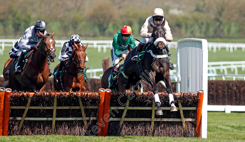 Dame-Rose-0002 
 DAME ROSE (Richard Johnson) Cheltenham 19 Apr 2018 - Pic Steven Cargill / Racingfotos.com