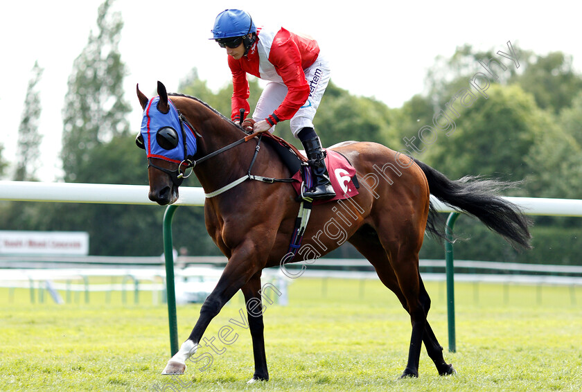 Unfortunately-0004 
 UNFORTUNATELY (P J McDonald)
Haydock 26 May 2018 - Pic Steven Cargill / Racingfotos.com