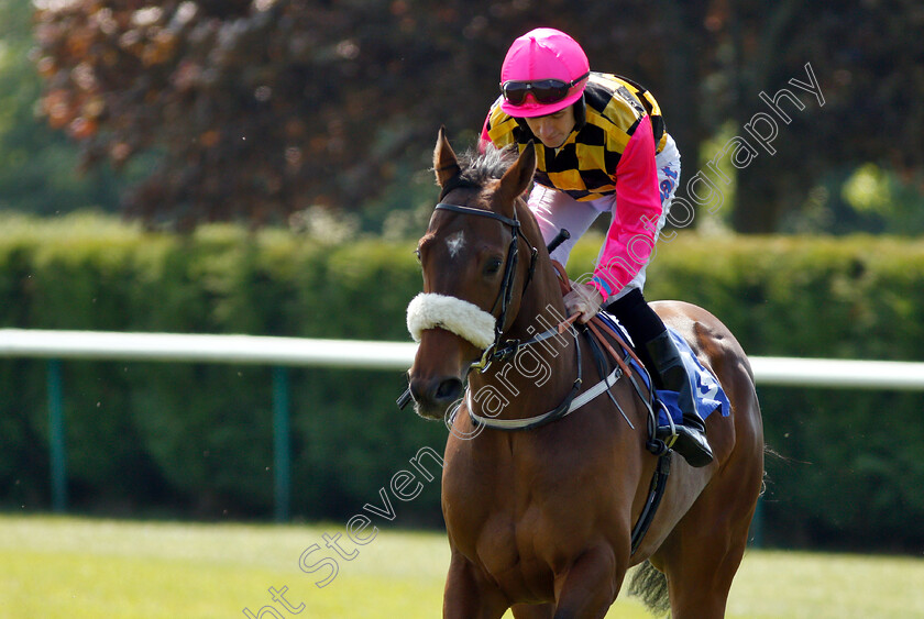 Triple-Distilled-0001 
 TRIPLE DISTILLED (Tom Eaves) 
Nottingham 22 May 2018 - Pic Steven Cargill / Racingfotos.com