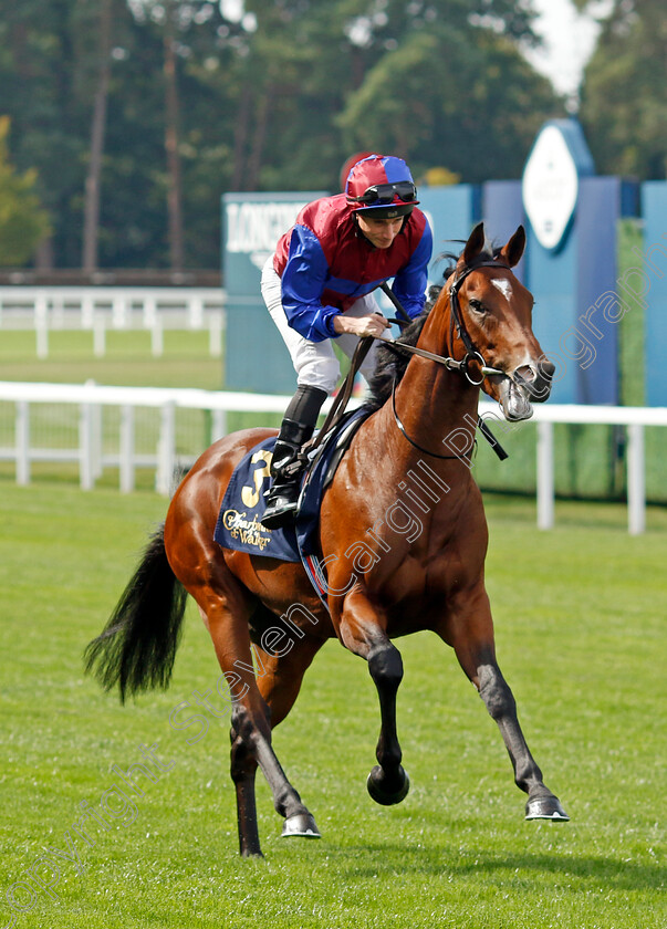 Kestrel-0001 
 KESTREL (Ryan Moore)
Ascot 8 Sep 2023 - Pic Steven Cargill / Racingfotos.com