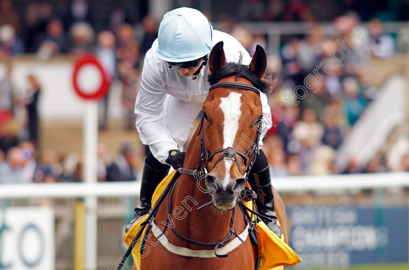 Cemhaan-0001 
 CEMHAAN (Hollie Doyle) winner of The Betfair Daily Rewards Handicap
Newmarket 1 May 2022 - Pic Steven Cargill / Racingfotos.com