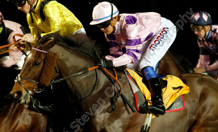 Divin-Bere-0001 
 DIVIN BERE (Megan Nicholls)
Kempton 5 Dec 2018 - Pic Steven Cargill / Racingfotos.com