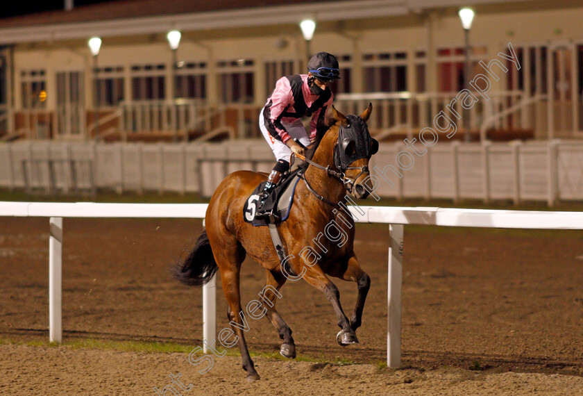 Top-Breeze-0002 
 TOP BREEZE (Tyler Heard)
Chelmsford 8 Oct 2020 - Pic Steven Cargill / Racingfotos.com