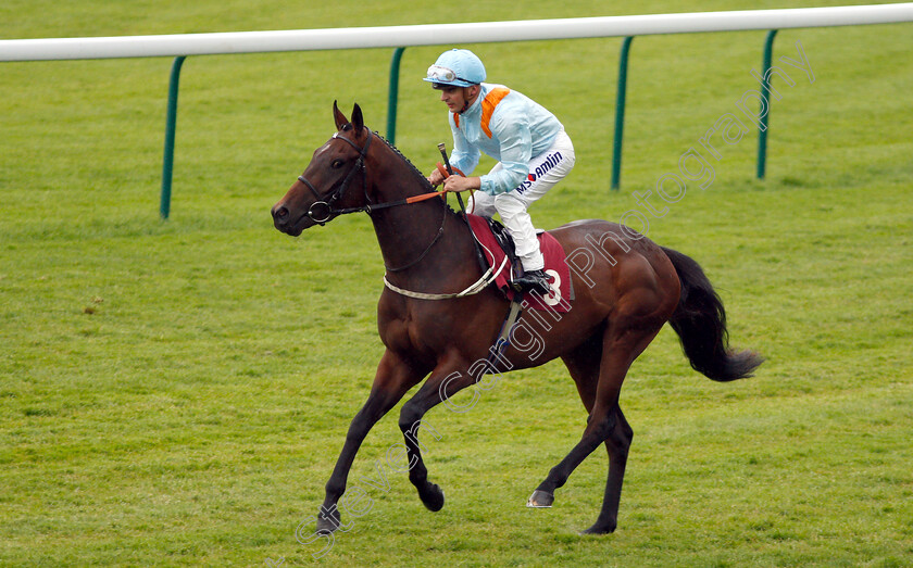 Axel-Jacklin-0001 
 AXEL JACKLIN (Andrea Atzeni)
Haydock 25 May 2018 - Pic Steven Cargill / Racingfotos.com