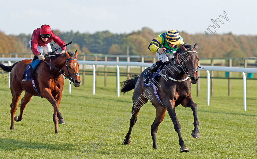 Midnights-Legacy-0007 
 MIDNIGHTS LEGACY (Tom Marquand) wins The Download The Star Sports App Now EBF Novice Stakes
Bath 16 Oct 2019 - Pic Steven Cargill / Racingfotos.com