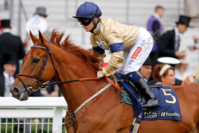 Glen-Shiel-0001 
 GLEN SHIEL (Hollie Doyle)
Ascot 19 Jun 2021 - Pic Steven Cargill / Racingfotos.com