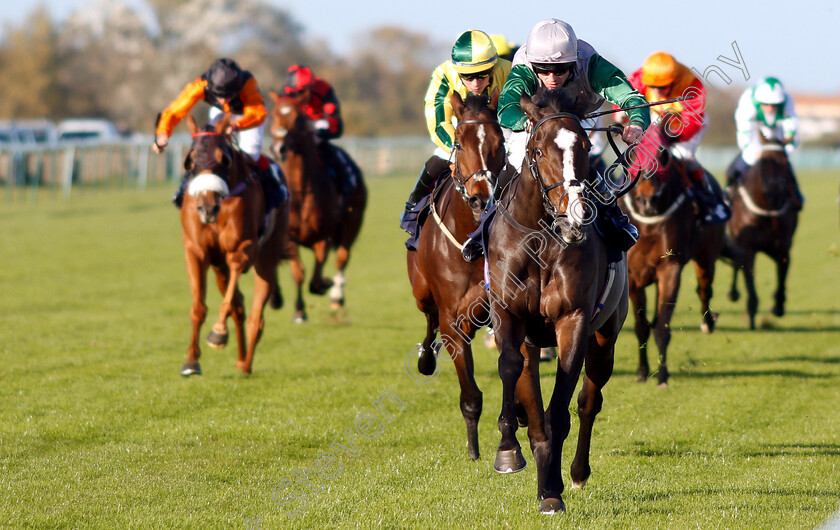 Mystic-Meg-0004 
 MYSTIC MEG (Jack Mitchell) wins The RCA Flat Racecourse Groundstaff Award Winners Handicap
Yarmouth 23 Oct 2018 - Pic Steven Cargill / Racingfotos.com