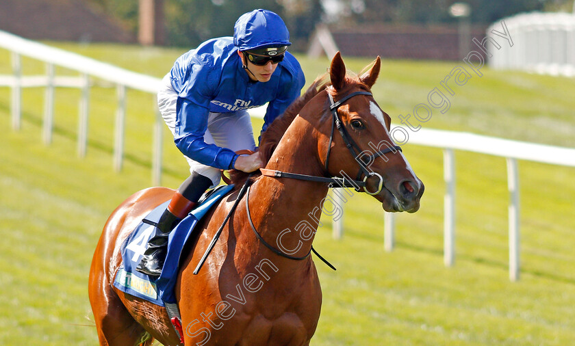 Masar-0002 
 MASAR (James Doyle) winner of The BetBright Solario Stakes Sandown 2 Sep 2017 - Pic Steven Cargill / Racingfotos.com