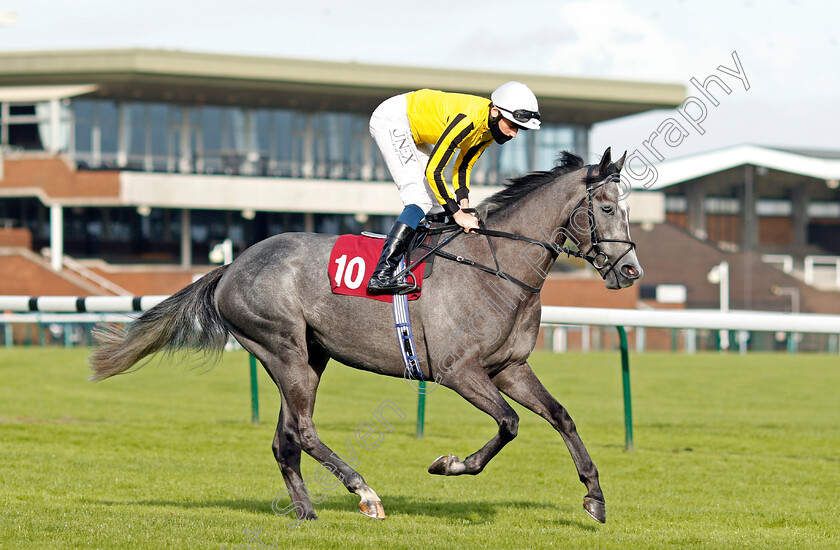 Luncies-0002 
 LUNCIES (Callum Shepherd) winner of The Watch Racing On Betfair For Free Handicap
Haydock 4 Sep 2020 - Pic Steven Cargill / Racingfotos.com